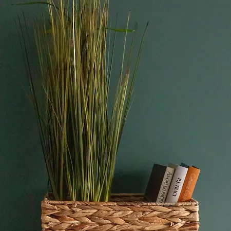 Functional & Modern With Parking And Garden By Renters Apartamento Estetino