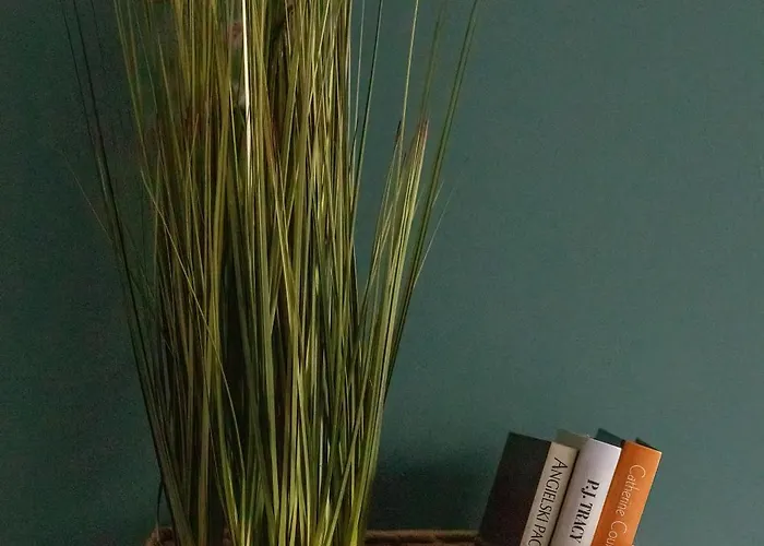 Functional & Modern With Parking And Garden By Renters Lägenhet Szczecin